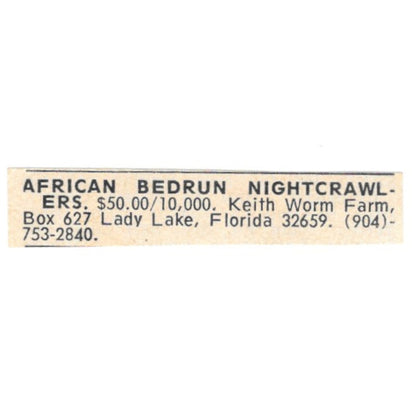 Keith Worm Farm African Bedrun Nightcrawlers Lady Lake FL 1977 Ad AF6-S6