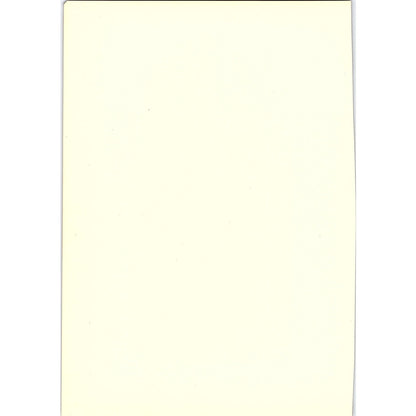 Virgin and Child - Crivelli - 1908 Litho Art Print AF4-7