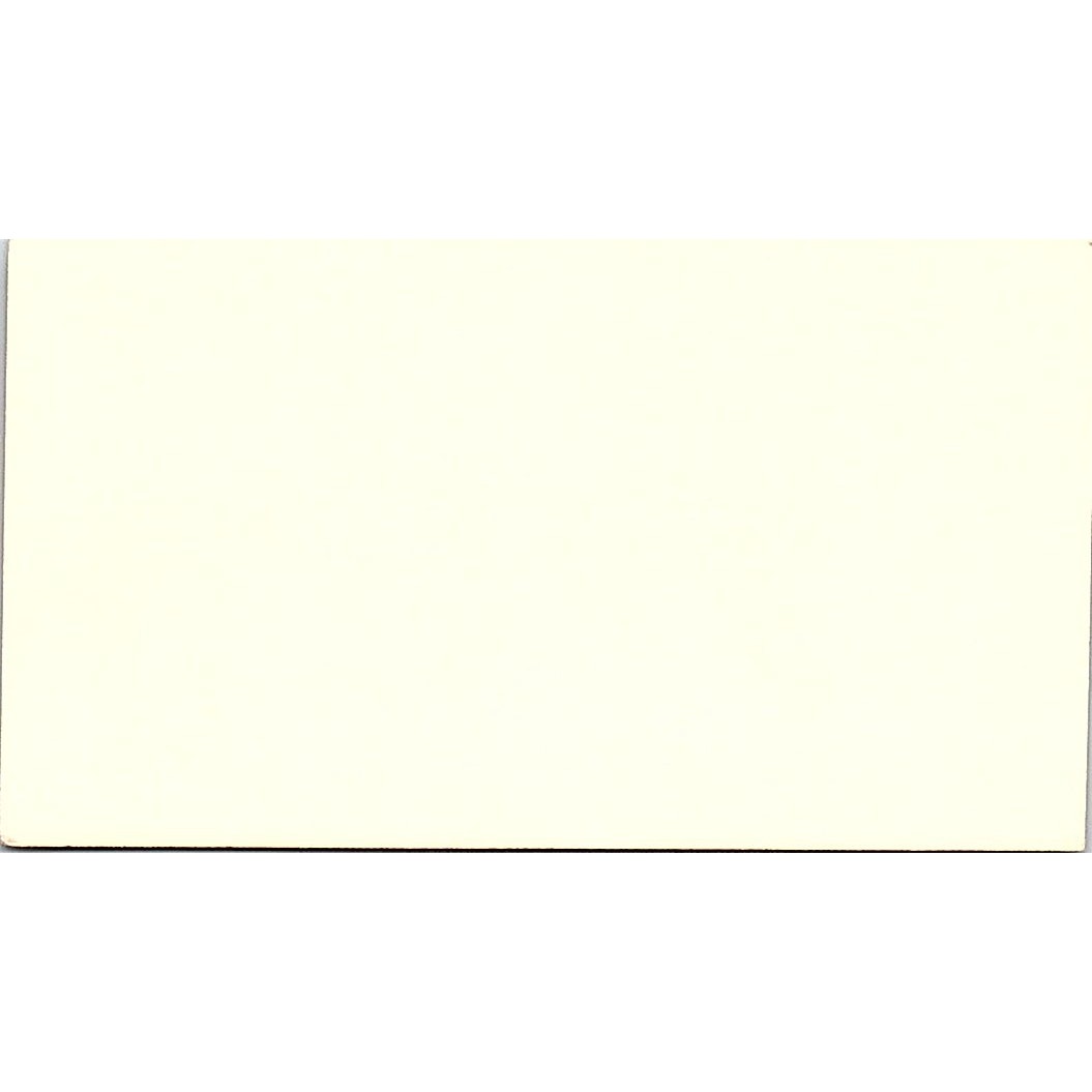 McCane Sondock Protection Systems Jed Wright Houston Texas Business Card SB4-B3