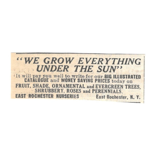East Rochester Nurseries Fruit Trees, Roses, East Rochester NY 1924 Ad AG3-S2