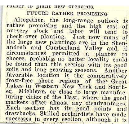 F.J. Townsend Wire Stretcher Painted Post NY 1924 Ad AG3-S17