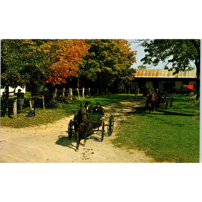 Old Order of Mennonite Courting Buggy Pennsylvania Dutch Country Postcard PD8