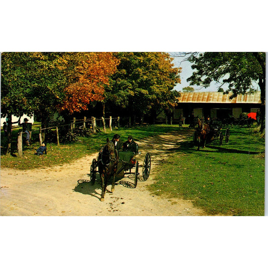 Old Order of Mennonite Courting Buggy Pennsylvania Dutch Country Postcard PD8