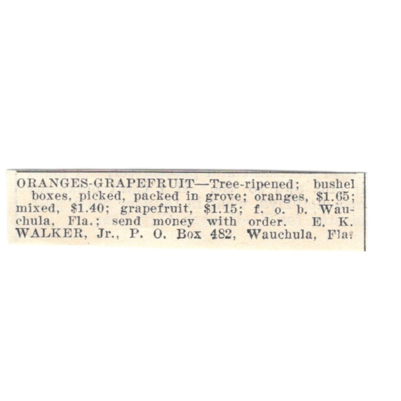 E.K. Walker Jr. Oranges, Grapefruit Wauchula Florida 1924 Ad AG3-S4