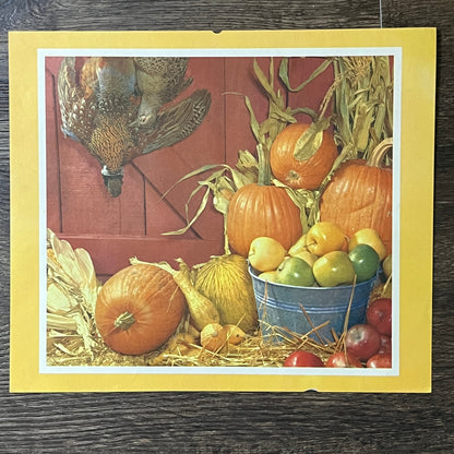 Retro 1970s Kitsch Fall Pumpkin Harvest Pheasant Pumpkin 8x9 Art Print V2