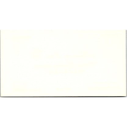 Subsurface Disposal Corporation Aaron Sterlin Bellaire TX Business Card SF3-B9