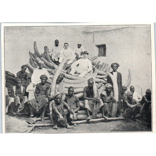 Record Setting Elephant Tusk Caravan in Zanzibar 1897 Victorian Photo AE9-TS3