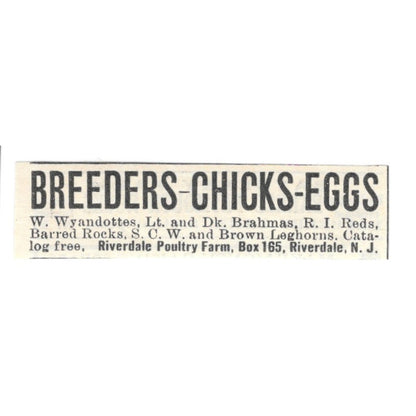 Riverdale Poultry Farm Chicks Riverdale NJ 1924 Ad AG3-S6