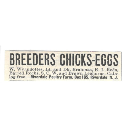 Riverdale Poultry Farm Chicks Riverdale NJ 1924 Ad AG3-S6