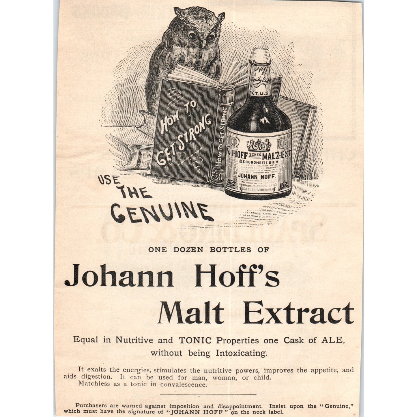 Johann Hoff's Malt Extract Tonic Owl Reading Book 1892 Magazine Ad AB6-SL1