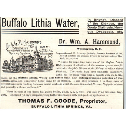 Lithia Water Thomas F Goode Buffalo Lithia Springs VA c1890 Victorian Ad AE8-CH1