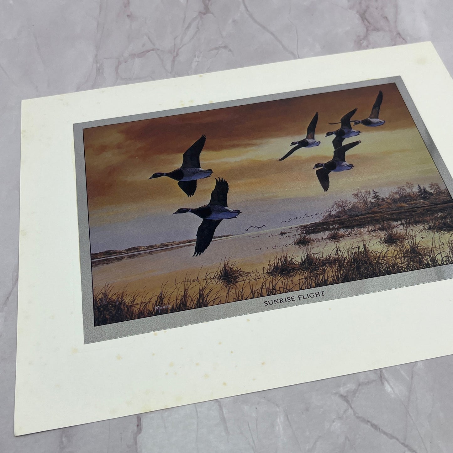 Sunrise Flight Canada Geese by David A. Maass Vtg Chromatic Foil Etch 8x10" V19