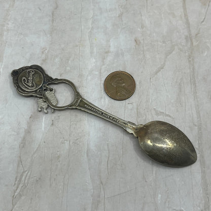 Vintage New Zealand Kiwi Charm Silver Fern Perfection Souvenir Spoon TG9-SP