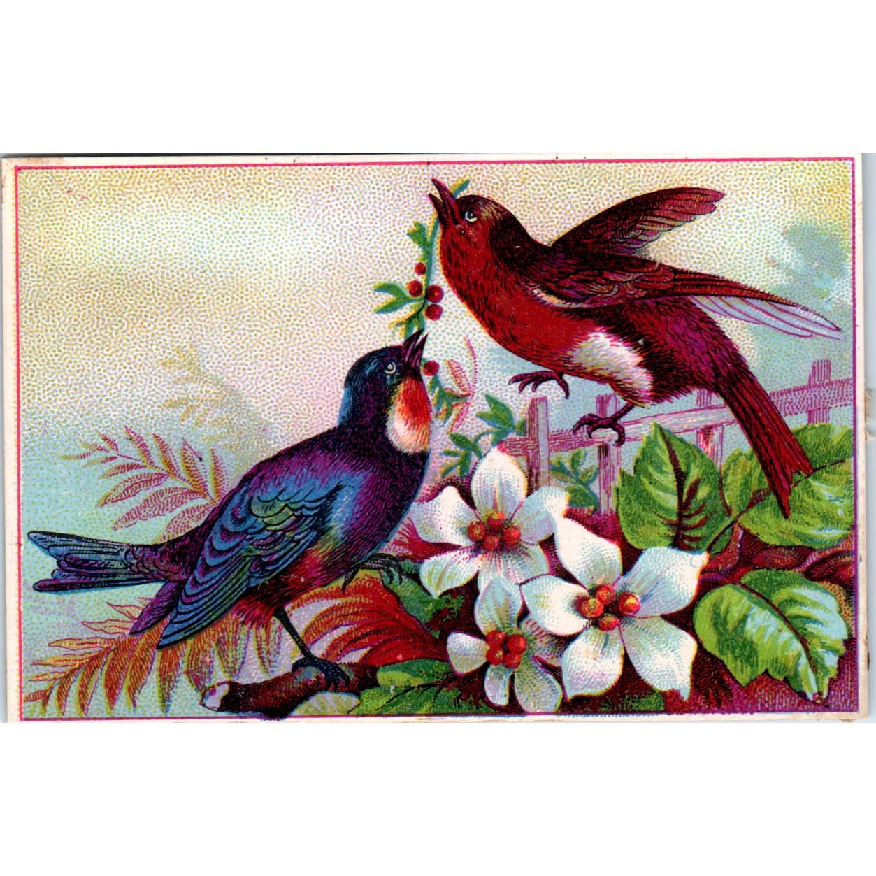 Colorful Birds and Flowers c1880 Victorian Trade Card AE7