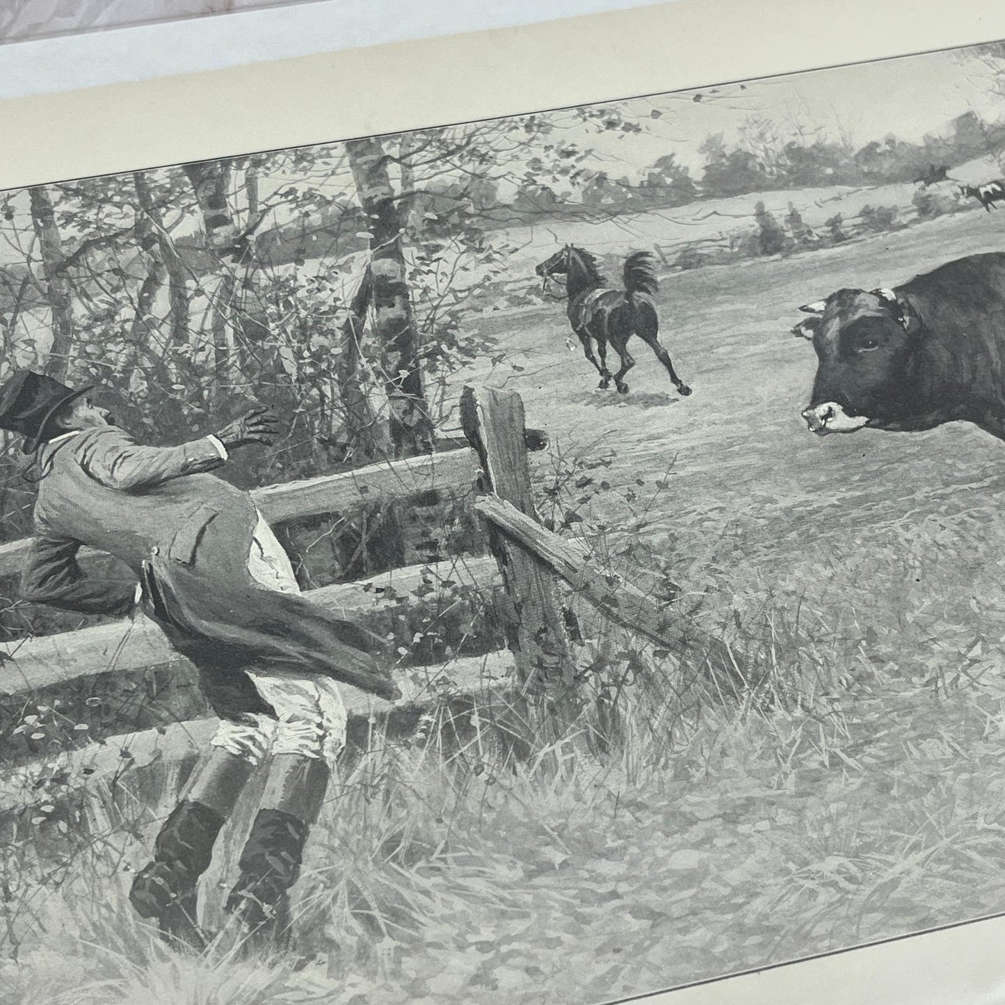 A.B. Frost As a Redcoat is Embarrassing Bull Farm c1915 Antique Print FL6-9