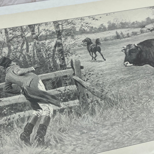 A.B. Frost As a Redcoat is Embarrassing Bull Farm c1915 Antique Print FL6-9