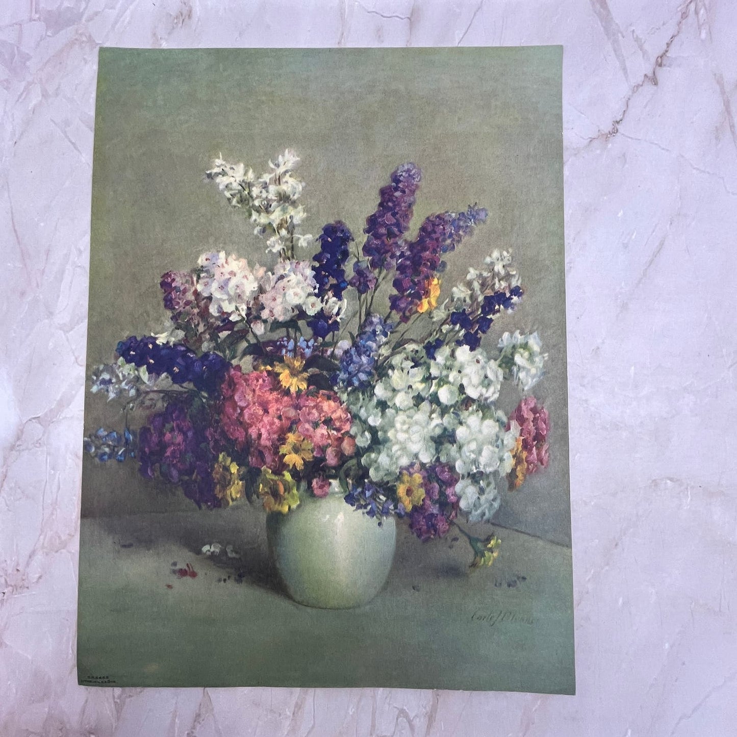 Phlox and Larkspur by Carle J Blenner Vintage Art Print Lithograph 9x12 FL6-3