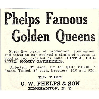 C.W. Phelps & Son Famous Golden Queen Bees Binghamton NY 1926 Ad AG3-S23
