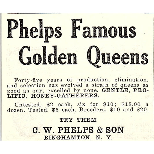C.W. Phelps & Son Famous Golden Queen Bees Binghamton NY 1926 Ad AG3-S23