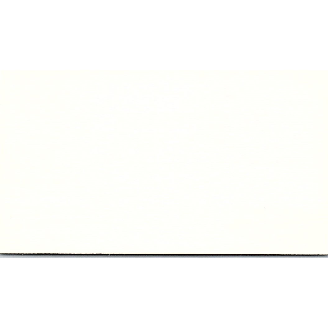 Travel Network Lisa Albright Auburn CA Vintage Business Card SD9-B13