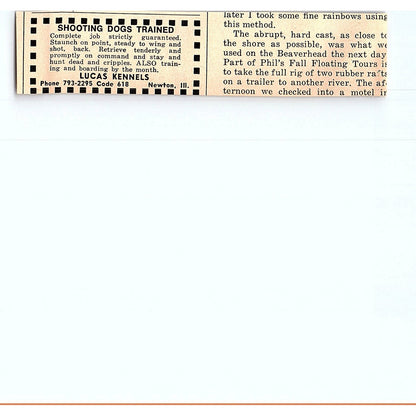 Timberwolf-Shepherd Puppies Charles Dysart Jr. Henrietta NC 1977 Ad AF6-5