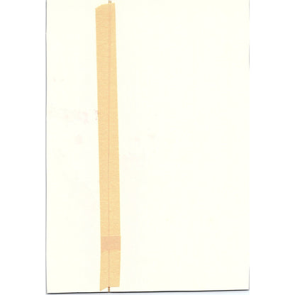 Antique Print - Yellow Daffodils Floral Art Print 7x10 V6