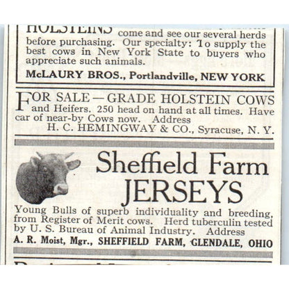 E.C. Stearns Running Green Bone Cutter Syracuse NY 1913 Magazine Advert AE7-N7