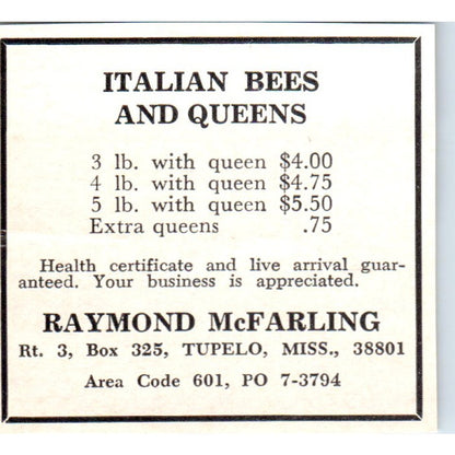 Italian Bees Raymond McFarling Tupelo Mississippi 1964 Magazine Ad AK5-S36