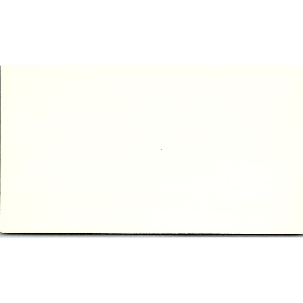 Erica Lewis LCY Enterprises Auto Brokers Houston Vintage Business Card SC9-B7