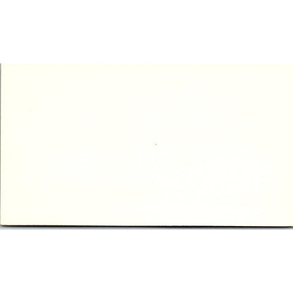 Erica Lewis LCY Enterprises Auto Brokers Houston Vintage Business Card SC9-B7