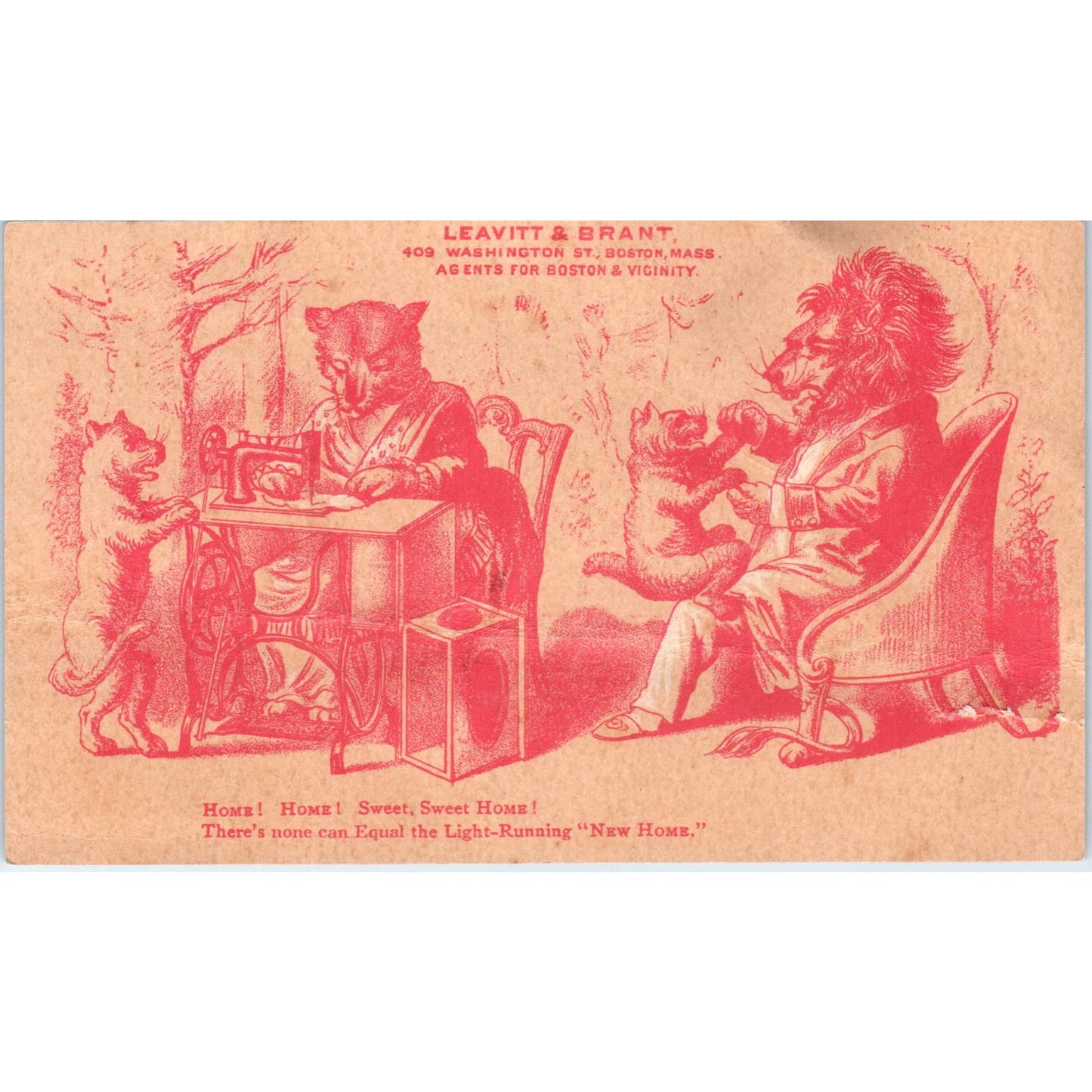 Leavitt & Brant Boston Anthropomorphic Lions c1880 Victorian Trade Card AE5