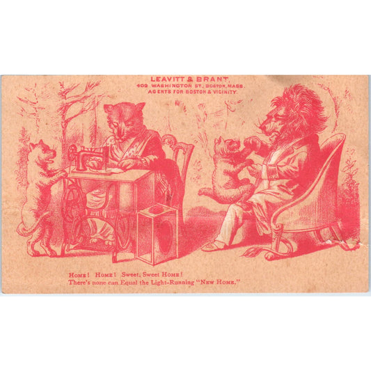 Leavitt & Brant Boston Anthropomorphic Lions c1880 Victorian Trade Card AE5