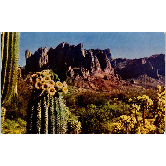 1954 Superstition Mountain Phoenix Arizona Vintage Postcard PE3
