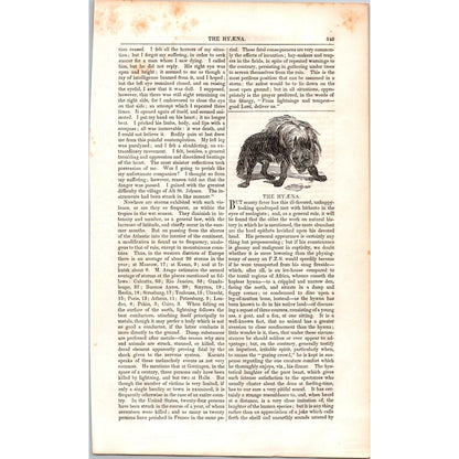The Hyena Hyæna - 2 Pages 1854 Article I19