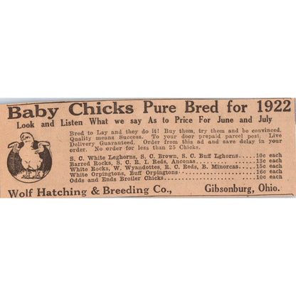 Wolf Hatching & Breeding Co Baby Chicks Gibsonburg OH 1922 Magazine Ad AF2-A5