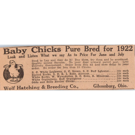 Wolf Hatching & Breeding Co Baby Chicks Gibsonburg OH 1922 Magazine Ad AF2-A5