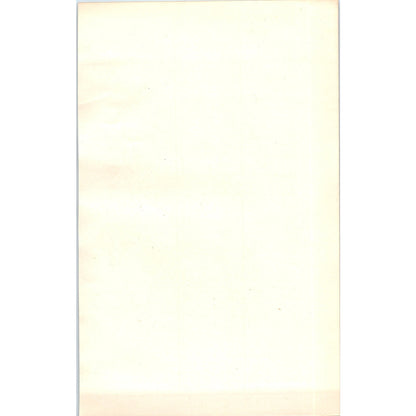 Great Spotted Woodpecker Bird 1903 Original Color Engraving Plate Print AD8-B4