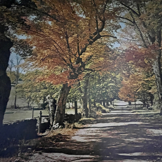 Autumn Walking Path in New Hampshire 12x16" Art Print FL1