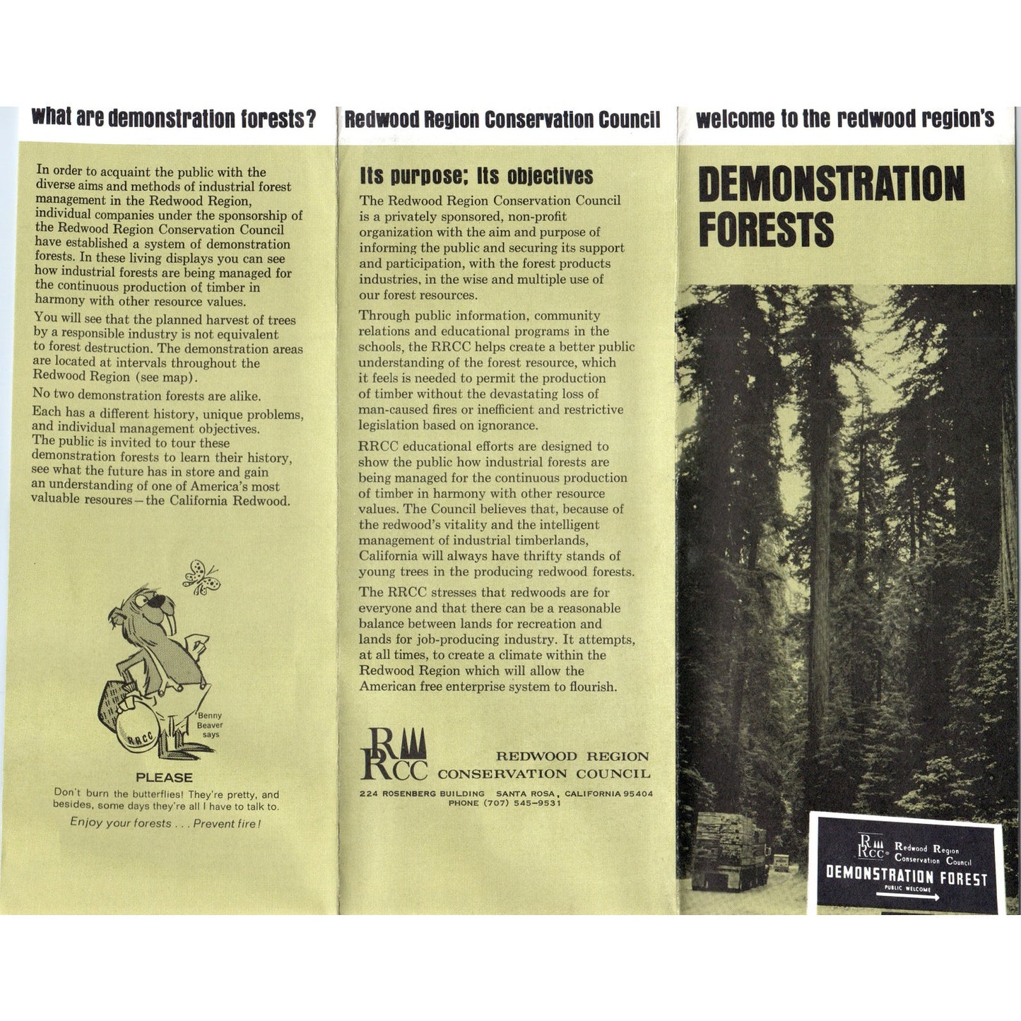 Vtg Redwood Region Demonstration Forests Fold Out Map & Travel Brochure TH2-O1