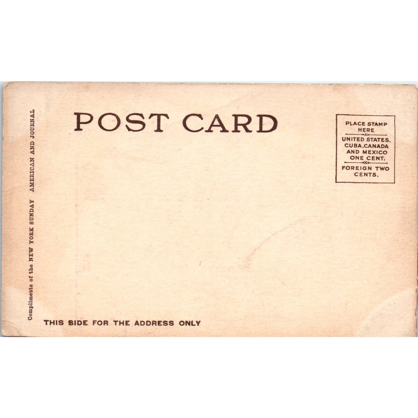 Bloodhound Dog and Boy at Dinner Table Humor Illustration c1906 Postcard PD2