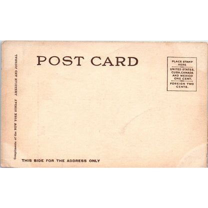 Bloodhound Dog and Boy at Dinner Table Humor Illustration c1906 Postcard PD2