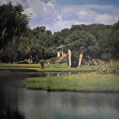Jungle Gardens on Avery Island Louisiana 6.5x7.5" Art Print V23