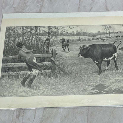 A.B. Frost As a Redcoat is Embarrassing Bull Farm c1915 Antique Print FL6-9