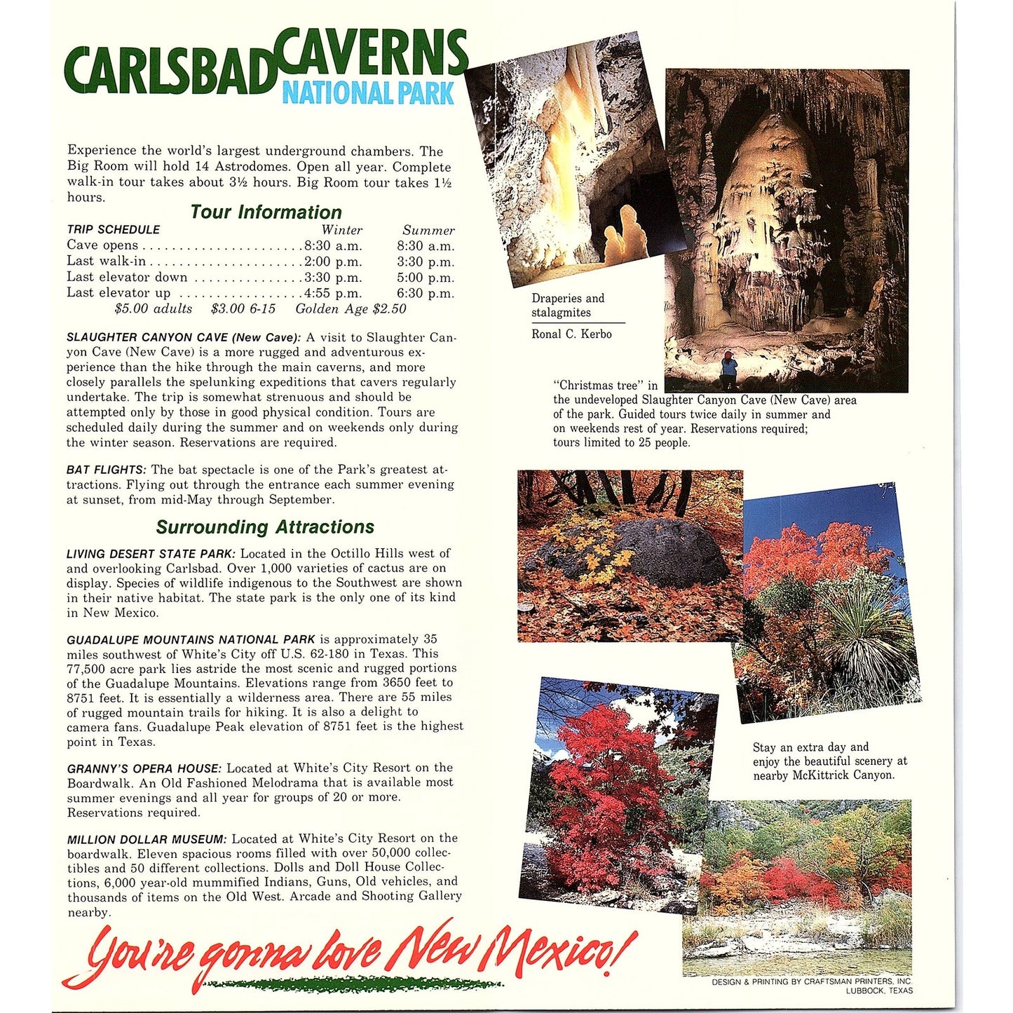 White's City at Carlsbad Caverns New Mexico Vtg Fold Out Travel Brochure TH2-TB1