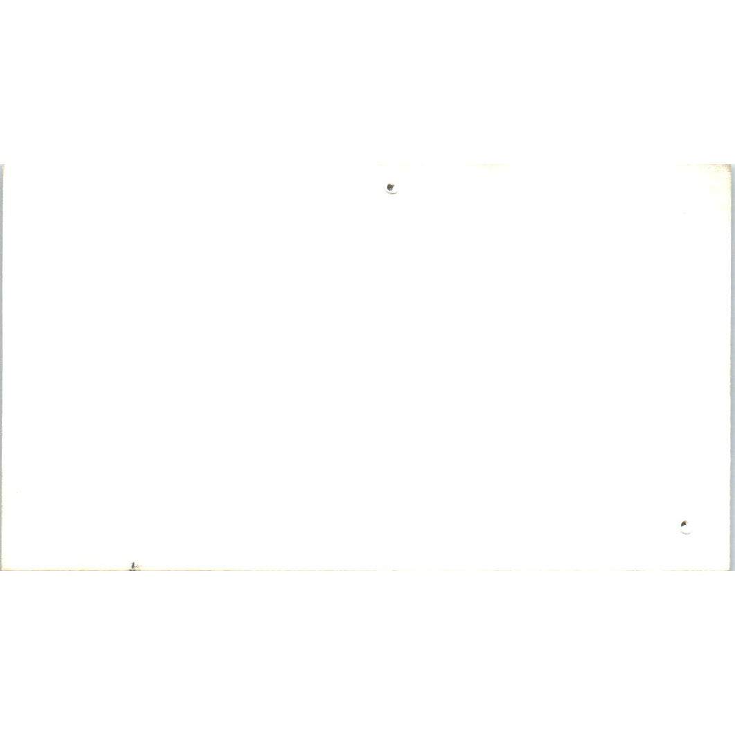 Hope Danes Great Danes Shirley Waddle, Blon Channelview Business Card SD8-B15