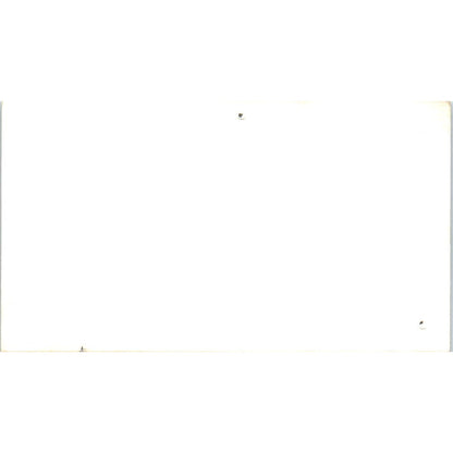 Hope Danes Great Danes Shirley Waddle, Blon Channelview Business Card SD8-B15