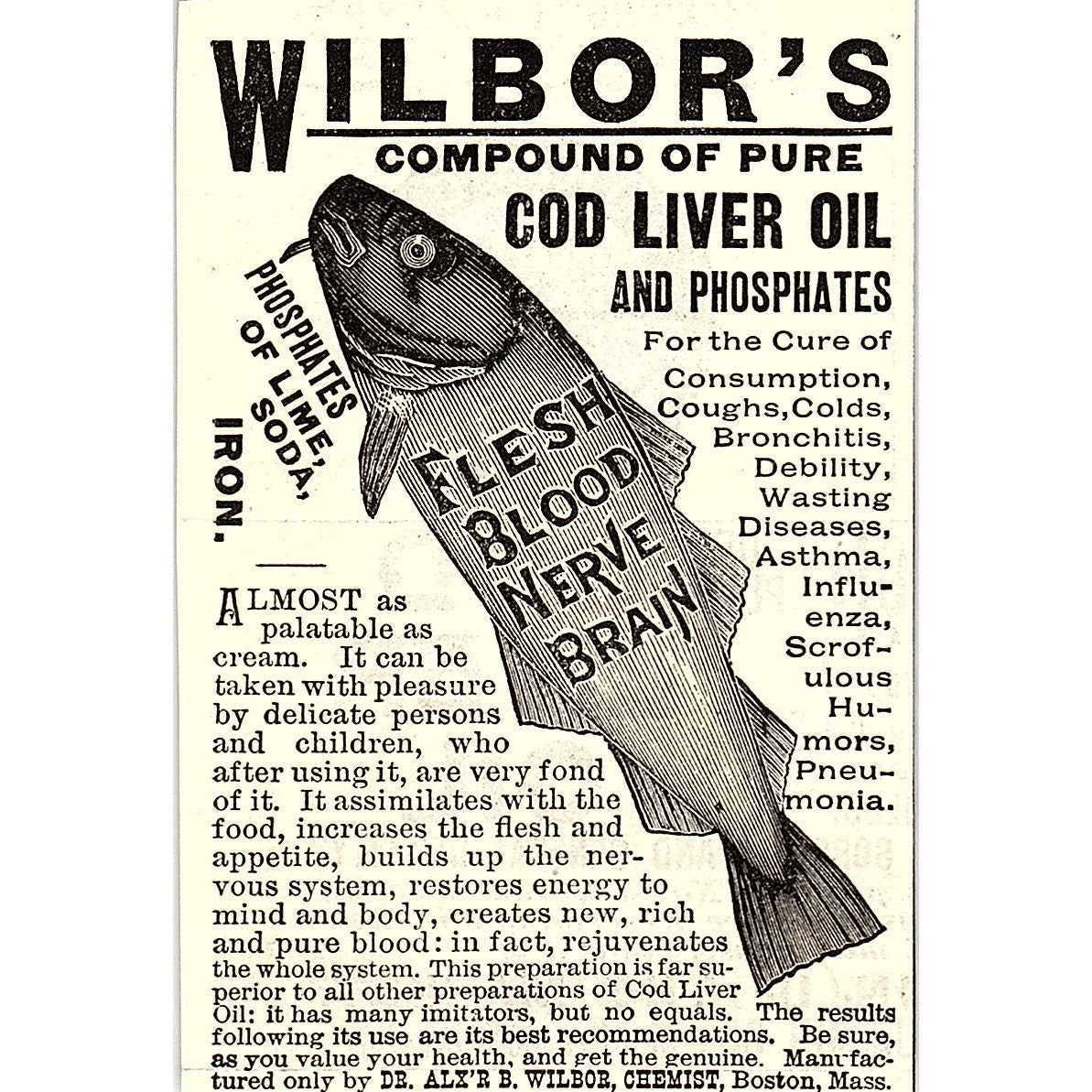 Wilbor's Compound of Cod Liver Oil Dr. Alexander B Wilbor Boston 1892 Ad AG2-M10
