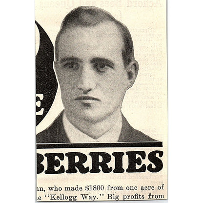 W.D. Achord Bees and Queens Fitzpatrick Alabama 1926 Ad AG3-M8