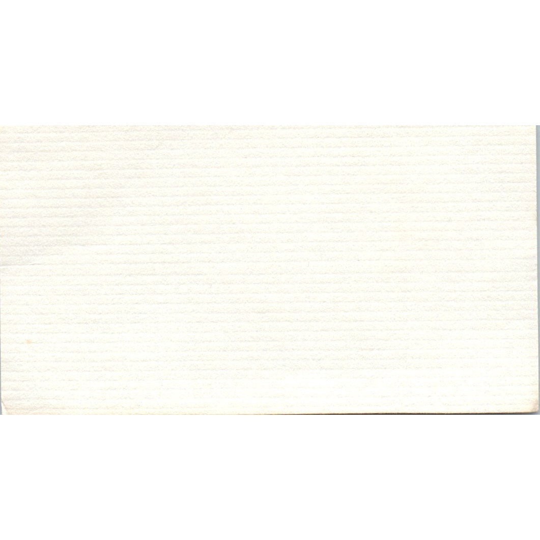 Hair Company Full Service Salon Ruth Houston TX Vintage Business Card SD8-B11