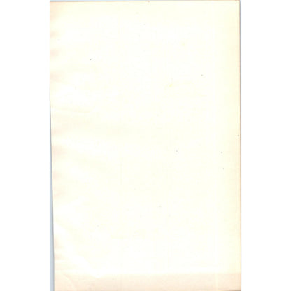 Dotterel Bird 1903 Original Color Engraving Plate Print AD8-B1